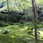 観光:京都の寺と名所を巡る旅　祇王寺から大覚寺